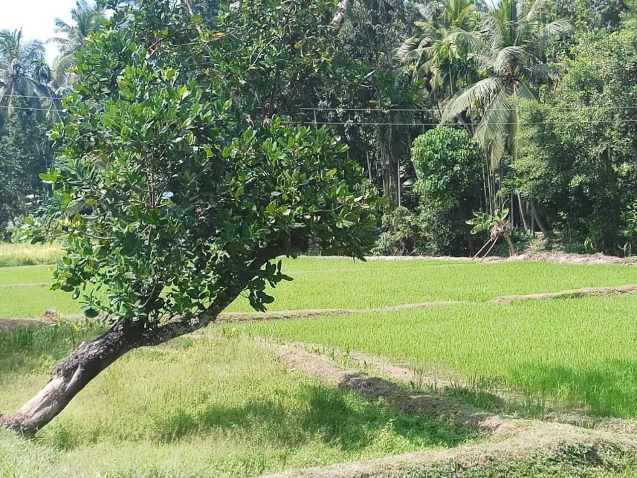House Of Richness Hotel Negombo Luaran gambar